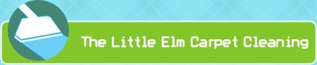 The Little Elm Texas Carpet Cleaning